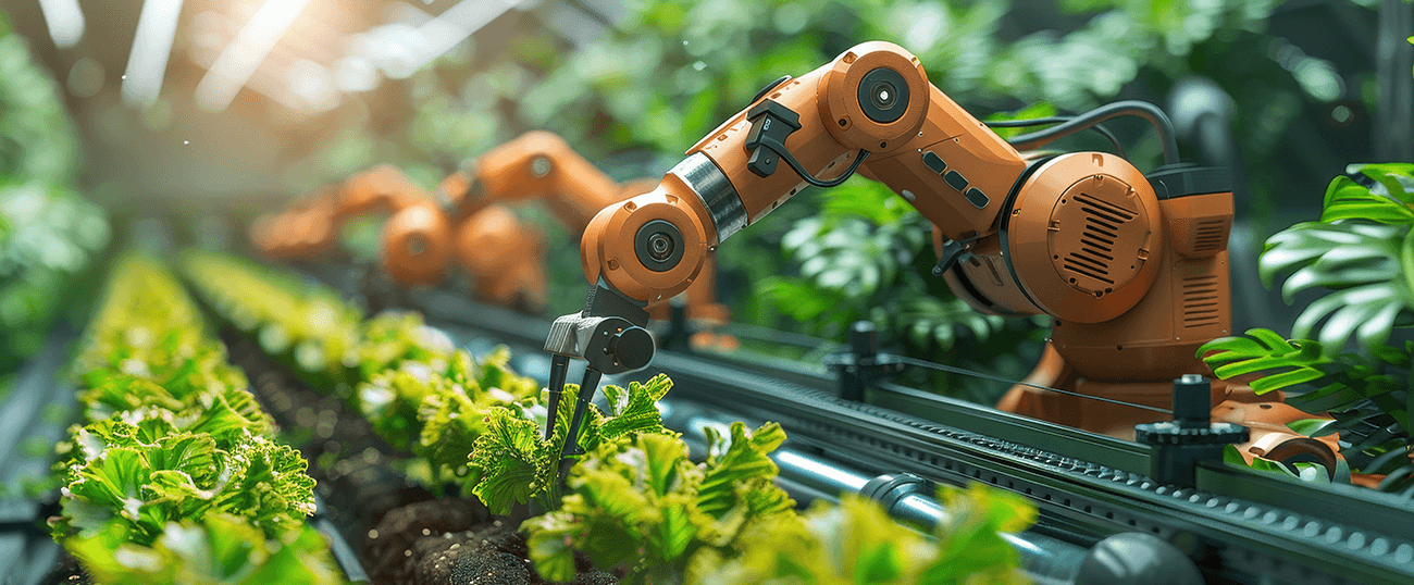 Green Software in the AI Era: Bridging Innovation with Sustainability